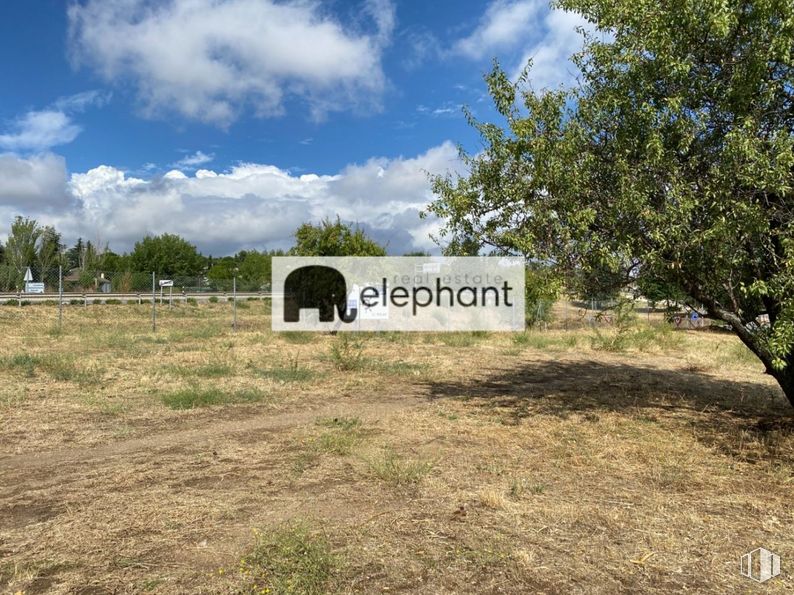 Land for sale at Avenida de España, El Molar, Madrid, 28710 with cloud, sky, plant, tree, natural landscape, land lot, plain, grassland, grass and landscape around