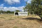 Land for sale at Avenida de España, El Molar, Madrid, 28710 with cloud, sky, plant, tree, natural landscape, land lot, plain, grassland, grass and landscape around