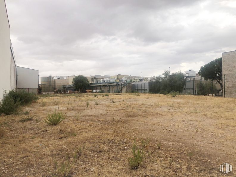 Suelo en venta en Carretera Ajalvir, Alcalá de Henares, Madrid, 28806 con edificio, nube, cielo, planta, paisaje, inmobiliario, árbol, hierba, ciudad y carretera alrededor