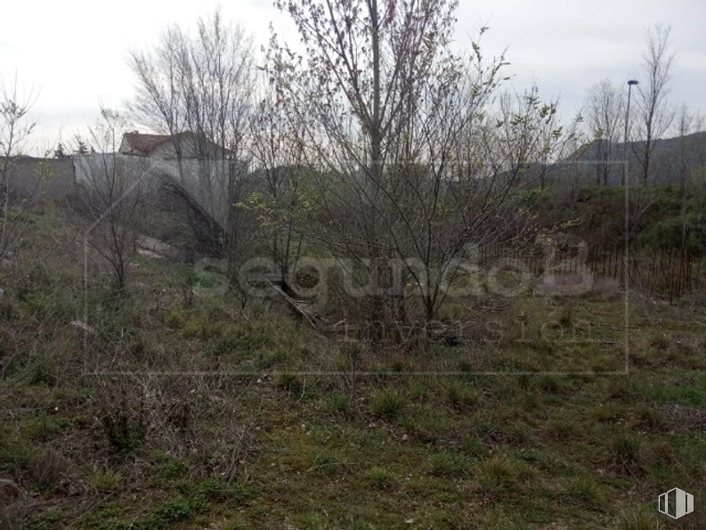 Land for sale at Calle Cruz Caídos, 12, Lozoyuela-Navas-Sieteiglesias, Madrid, 28752 with house, plant, sky, plant community, natural landscape, land lot, grass, twig, landscape and grassland around