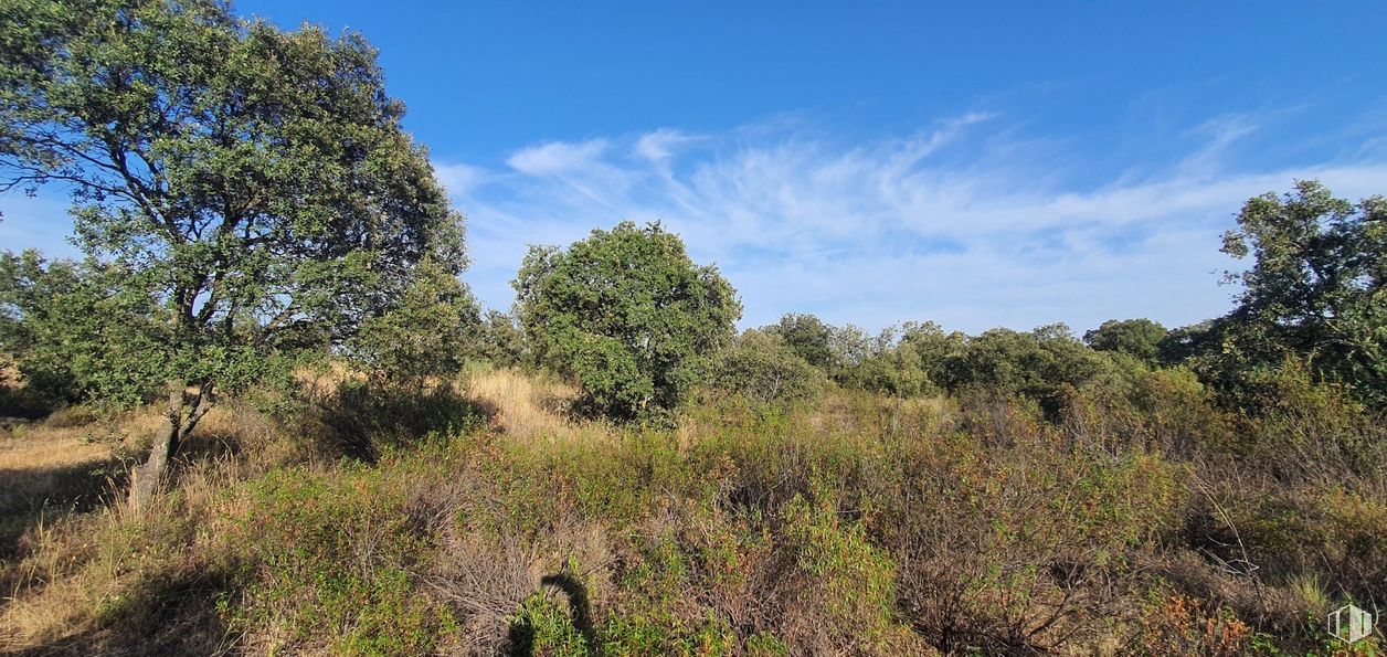 Land for sale at Urbanización Sector 1, Hormigos, Toledo, 45919 with cloud, sky, plant, natural landscape, tree, vegetation, land lot, landscape, grass and grassland around