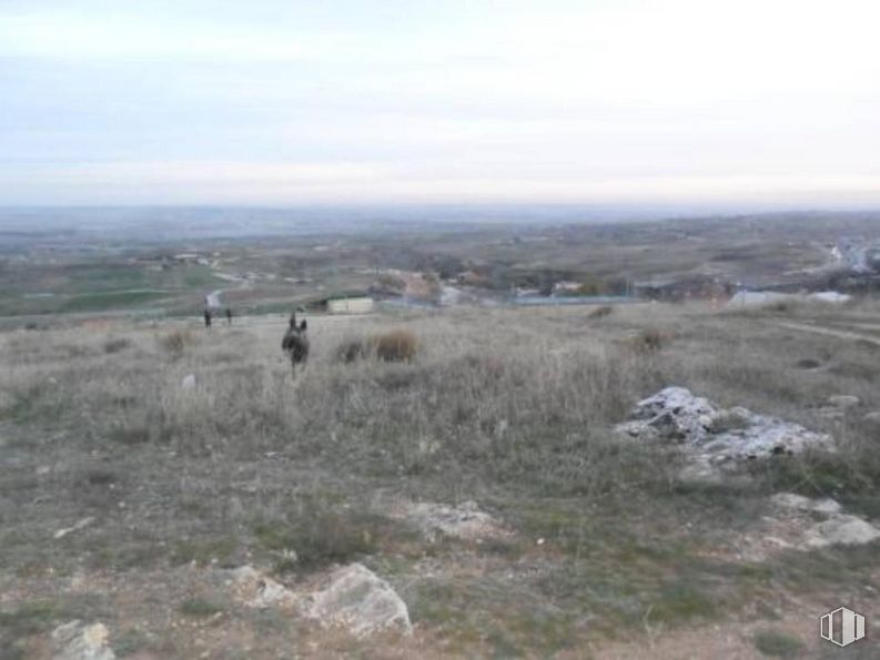 Suelo en venta en Calle Torreta, El Molar, Madrid, 28710 con animal, cielo, nube, planta, lecho de roca, paisaje natural, pastizal, paisaje, hierba y pasto alrededor