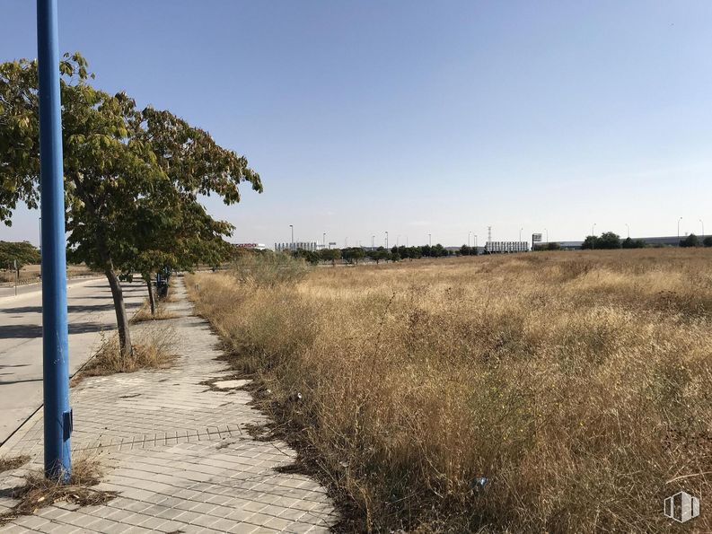 Suelo en venta en Zona industrial (PP10), Leganés, Madrid, 28914 con cielo, planta, paisaje natural, nube, lote de terreno, árbol, hierba, superficie de la carretera, llano y paisaje alrededor