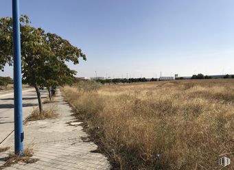 Suelo en venta en Zona industrial (PP10), Leganés, Madrid, 28914 con cielo, planta, paisaje natural, nube, lote de terreno, árbol, hierba, superficie de la carretera, llano y paisaje alrededor