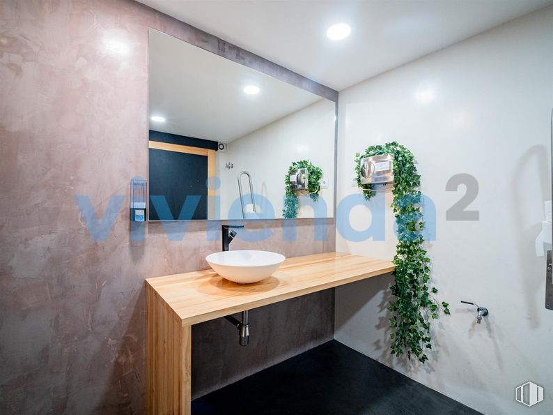 Retail for sale at Calle Rodas, 8, Centro, Madrid, 28005 with sink, houseplant, tap, plant, plumbing fixture, countertop, building, cabinetry, wood and mirror around