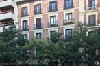 Local en alquiler en Plaza de Santa Bárbara, 6, Centro, Madrid, 28004 con ventana, edificio, planta, accesorio, árbol, diseño urbano, bloque de pisos, condominio, propiedad material y fachada alrededor