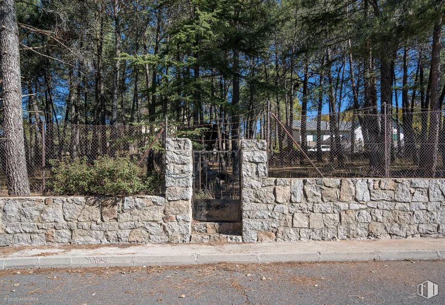 Land for sale at Calle Pino, Las Navas del Marqués, Ávila, 05239 with road surface, trunk, wood, tree, landscape, stone wall, fence, city, grass and road around