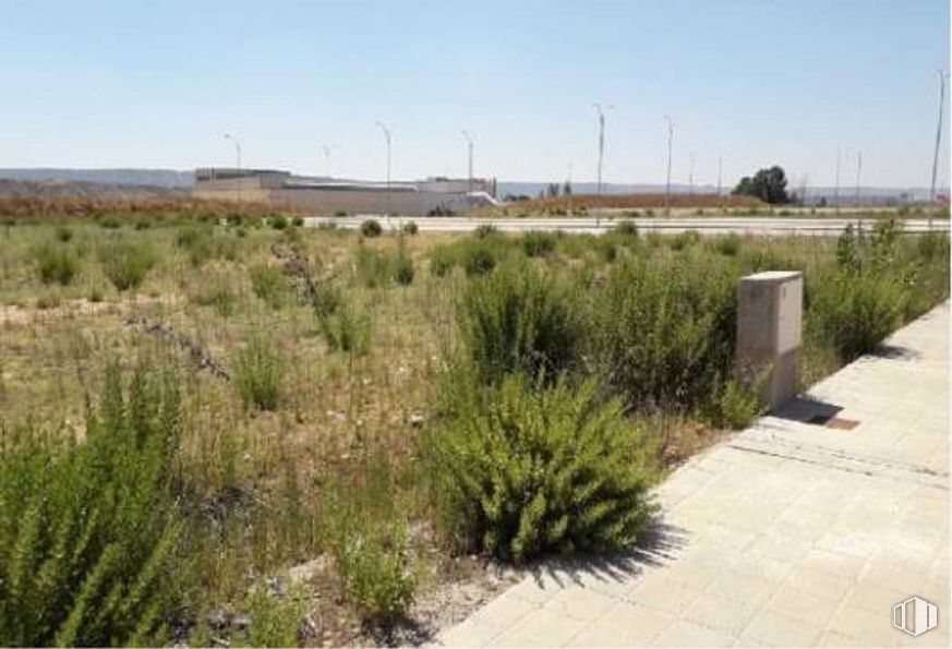 Land for sale at Sector SI-20 , Cabanillas del Campo, Guadalajara, 19171 with plant, sky, plant community, ecoregion, natural landscape, street light, vegetation, land lot, tree and grass around