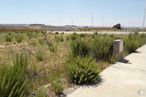 Land for sale at Sector SI-20 , Cabanillas del Campo, Guadalajara, 19171 with plant, sky, plant community, ecoregion, natural landscape, street light, vegetation, land lot, tree and grass around