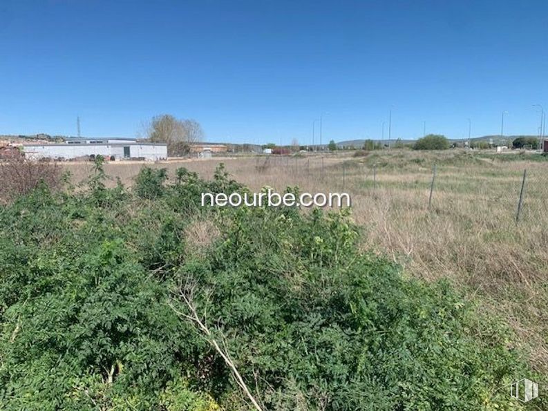 Land for sale at Calle Doctor Constantino Benito , Ávila, 05080 with plant, sky, plant community, land lot, natural landscape, tree, grass, groundcover, shrub and grassland around