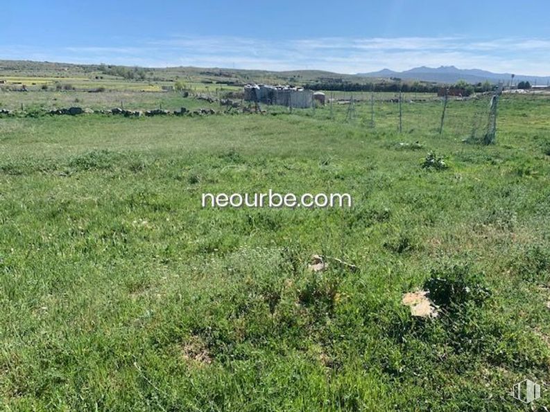 Land for sale at Calle Jesús Grande Aparicio, Ávila, 05002 with plant, sky, plant community, cloud, natural landscape, land lot, grass, grassland, plain and groundcover around