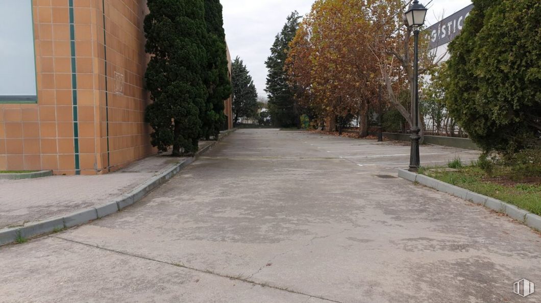 Nave en venta en Zona Industrial Getafe, Getafe, Madrid, 28906 con planta, árbol, superficie de la carretera, asfalto, lote de terreno, cielo, vía pública, acera, hierba y carretera alrededor