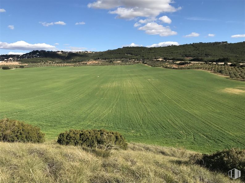 Land for sale at Finca Valdeapa, Chiloeches, Guadalajara, 19160 with cloud, sky, plant, mountain, natural landscape, tree, land lot, agriculture, slope and plain around