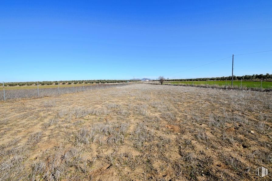 Land for sale at Zona Camino de Jumela, Gálvez, Toledo, 45164 with sky, land lot, natural landscape, plant, agriculture, plain, landscape, horizon, grassland and road around