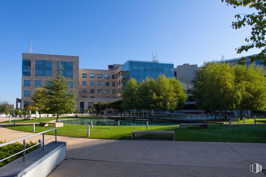 Oficina en alquiler en Edificio Gamma, Avenida Transición Española, 24, Alcobendas, Madrid, 28100 con mesa de trabajo, edificio, planta, cielo, tiempo de día, árbol, diseño urbano, vecindario, césped, ventana y condominio alrededor