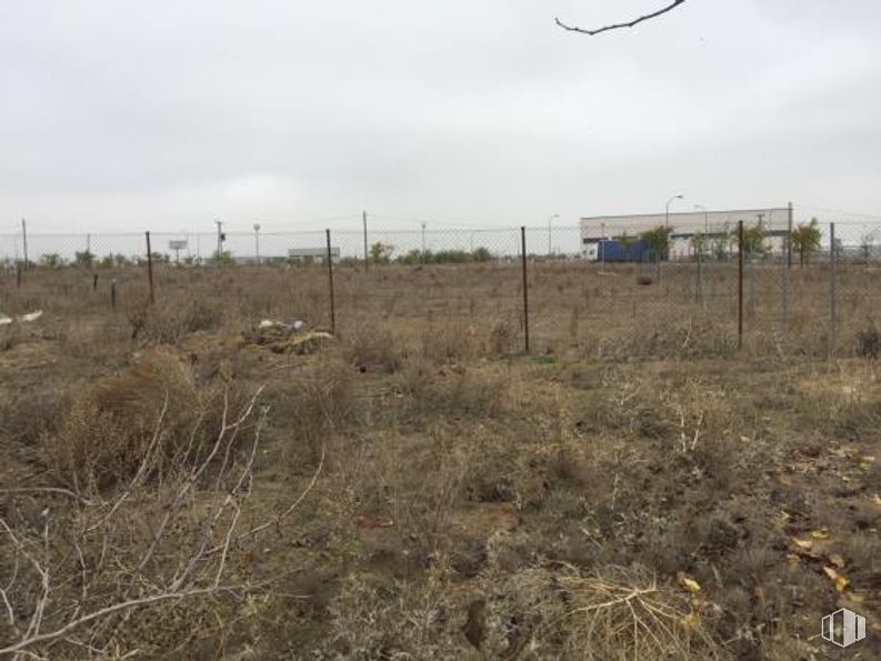 Suelo en venta en Calle Montes de Toledo, Illescas, Toledo, 45200 con planta, cielo, nube, comunidad vegetal, ecorregión, valla, lote de terreno, alambrada, llano y paisaje natural alrededor