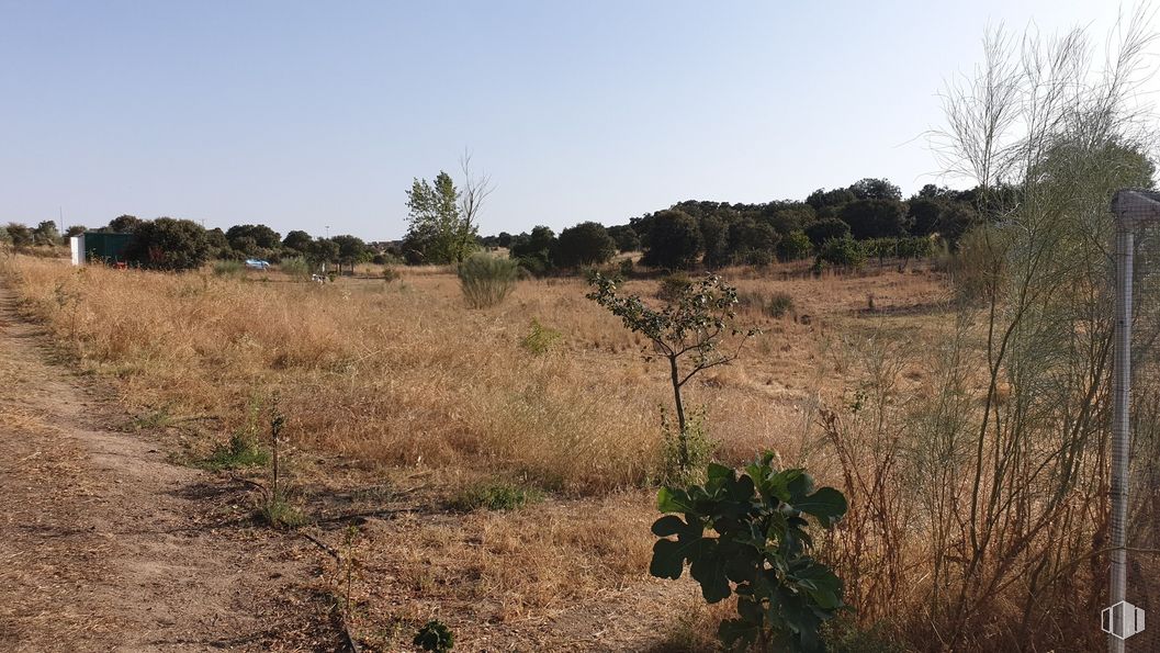 Land for sale at Zona Escalona, Escalona, Toledo, 45910 with plant, sky, tree, natural landscape, plain, shrub, grassland, meadow, landscape and grass around