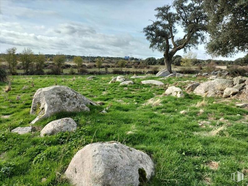 Land for sale at Vicolozano, Ávila, 05194 with animal, sky, cloud, plant, plant community, natural landscape, tree, bedrock, watercourse and grassland around