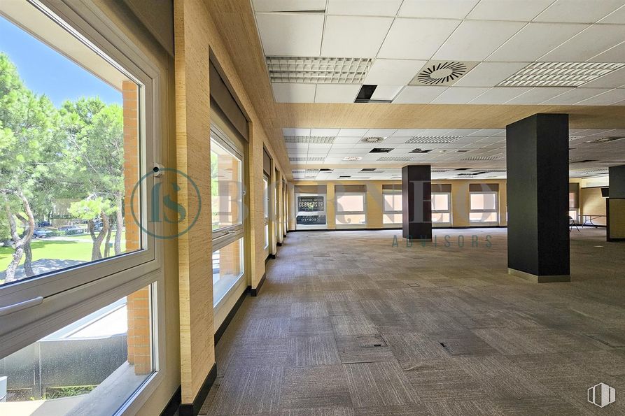 Oficina en alquiler en C.C Plaza Moraleja, Calle Estafeta, 2, Alcobendas, Madrid, 28109 con ventana, planta, accesorio, árbol, suelo, madera, hall, inmobiliario, sombra y suelos alrededor