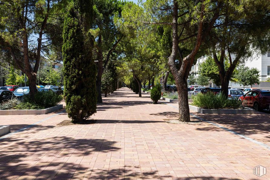 Oficina en alquiler en Avenida Europa, 34 D, Moncloa - Aravaca, Madrid, 28023 con coche, planta, sombra, superficie de la carretera, árbol, rama, rueda, asfalto, diseño urbano y vehículo alrededor