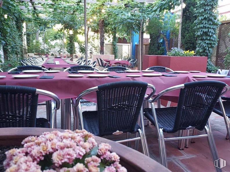 Retail for sale & for rent at Ronda Escuelas, Orgaz, Toledo, 45450 with chair, table, furniture, plant, flower, textile, outdoor table, motor vehicle, outdoor furniture and pink around