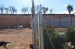 Land for sale at Calle Uclés, Santa Cruz de la Zarza, Toledo, 28037 with dog, animal, sky, plant, tree, land lot, mesh, wire fencing, cloud and wood around