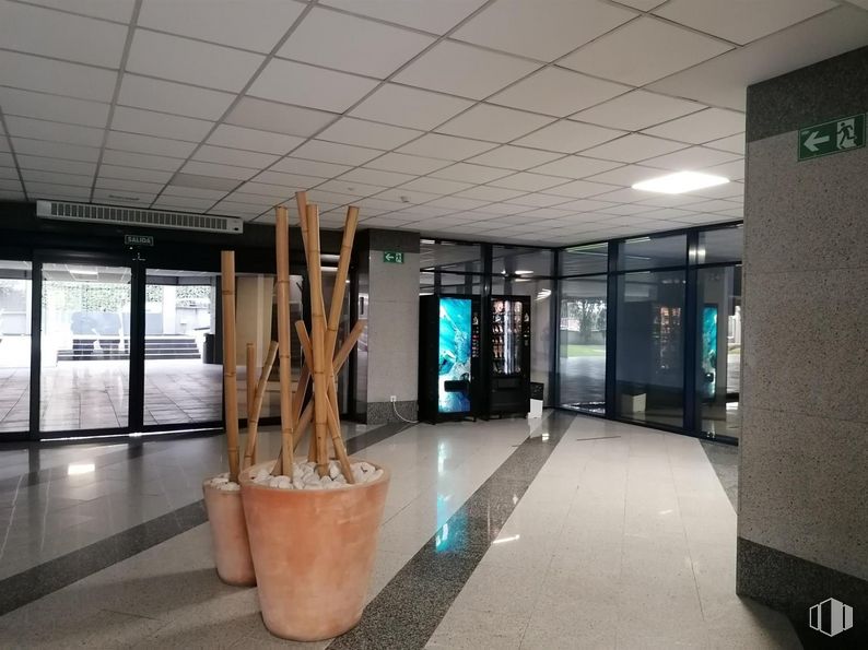 Office for sale & for rent at Zona Pinar de Las Rozas, Las Rozas de Madrid, Madrid, 28230 with flowerpot, plant, architecture, wood, interior design, flooring, building, floor, houseplant and art around