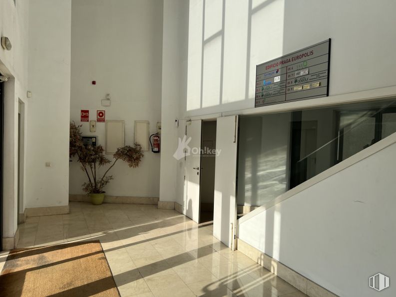 Oficina en venta en Zona Európolis, Las Rozas de Madrid, Madrid, 28230 con planta de interior, interiorismo, suelos, suelo, accesorio, pared, puerta, planta, madera y edificio alrededor