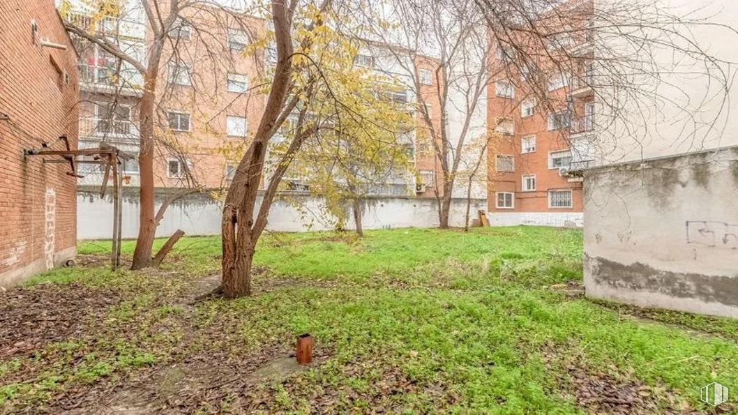 Local en venta en Calle Ancha, 27, Aranjuez, Madrid, 28300 con casa, planta, edificio, ventana, rama, ramita, madera, paisaje natural, árbol y lote de terreno alrededor