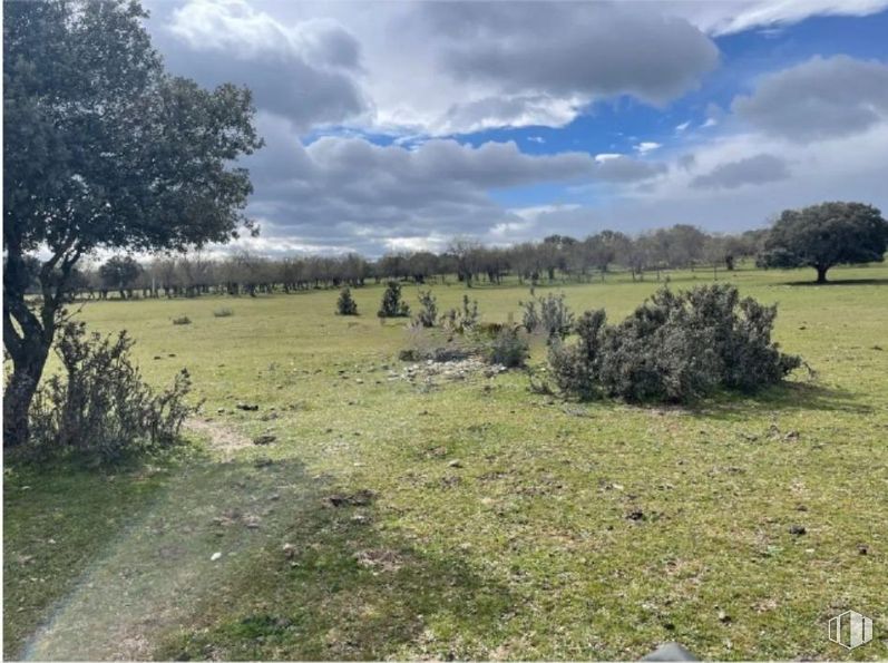 Suelo en venta en Polígono 2 Parcela 4 - Agua de San Martín, Galapagar, Madrid, 28280 con nube, cielo, planta, comunidad vegetal, ecorregión, paisaje natural, árbol, entorno natural, hierba y paisaje alrededor