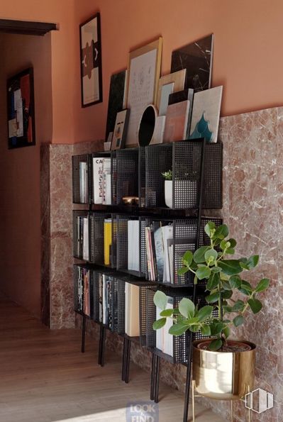 Retail for sale at Zona Cuatro Caminos, Tetuán, Madrid, 28020 with bookcase, houseplant, flowerpot, picture frame, wood, shelf, shelving, plant, interior design and publication around