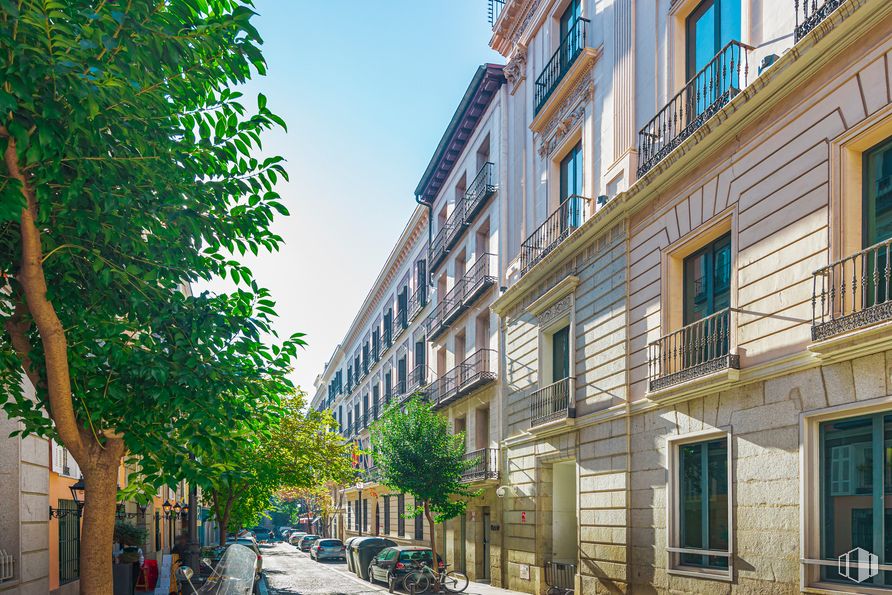 Oficina en alquiler en Calle Santa Catalina, 4, Centro, Madrid, 28014 con ventana, edificio, cielo, planta, infraestructura, rueda, superficie de la carretera, diseño urbano, árbol y barrio alrededor