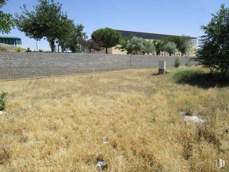 Suelo en venta en Calle Turina, Dosbarrios, Toledo, 45311 con cielo, planta, comunidad de plantas, ecorregión, árbol, entorno natural, paisaje natural, lote de tierra, vegetación y bioma alrededor