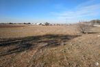 Land for sale at N-301, Quintanar de la Orden, Toledo, 45800 with sky, cloud, plant, natural landscape, land lot, tree, plain, landscape, grassland and grass around