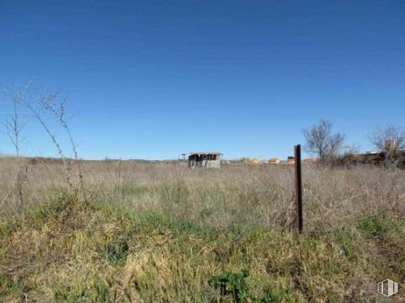 Land for sale at Conjunto Caminos, 5225 Sector Uno, Yunquera de Henares, Guadalajara, 19210 with animal, sky, plant, plant community, horse, natural landscape, tree, working animal, grassland and landscape around