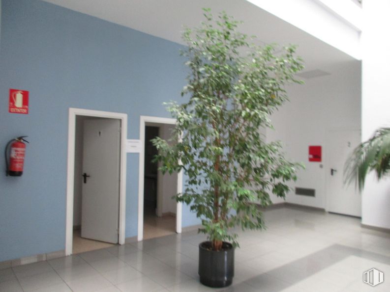 Office for rent at Calle Nestares, 20, Arganzuela, Madrid, 28045 with flowerpot, houseplant, plant, building, interior design, floor, flooring, wall, door and wood around