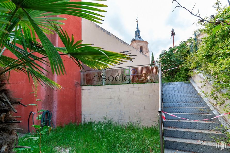 Retail for sale at Calle Real, Yunquera de Henares, Guadalajara, 19210 with plant, property, sky, vegetation, wall, tree, grass, terrestrial plant, arecales and tints and shades around