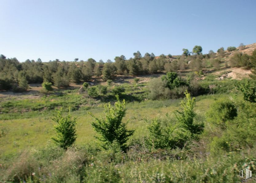 Suelo en venta en Zona Puerta de Murcia - Colegios, Ocaña, Toledo, 45300 con planta, cielo, árbol, paisaje natural, cubierta vegetal, pradera, arbusto, hierba, paisaje y pradera alrededor