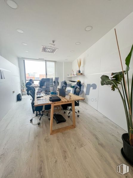 Oficina en venta en Calle Alfonso Gómez, San Blas - Canillejas, Madrid, 28037 con escritorio, planta de interior, mesa, persona, planta, edificio, madera, suelos, interiorismo y suelo alrededor