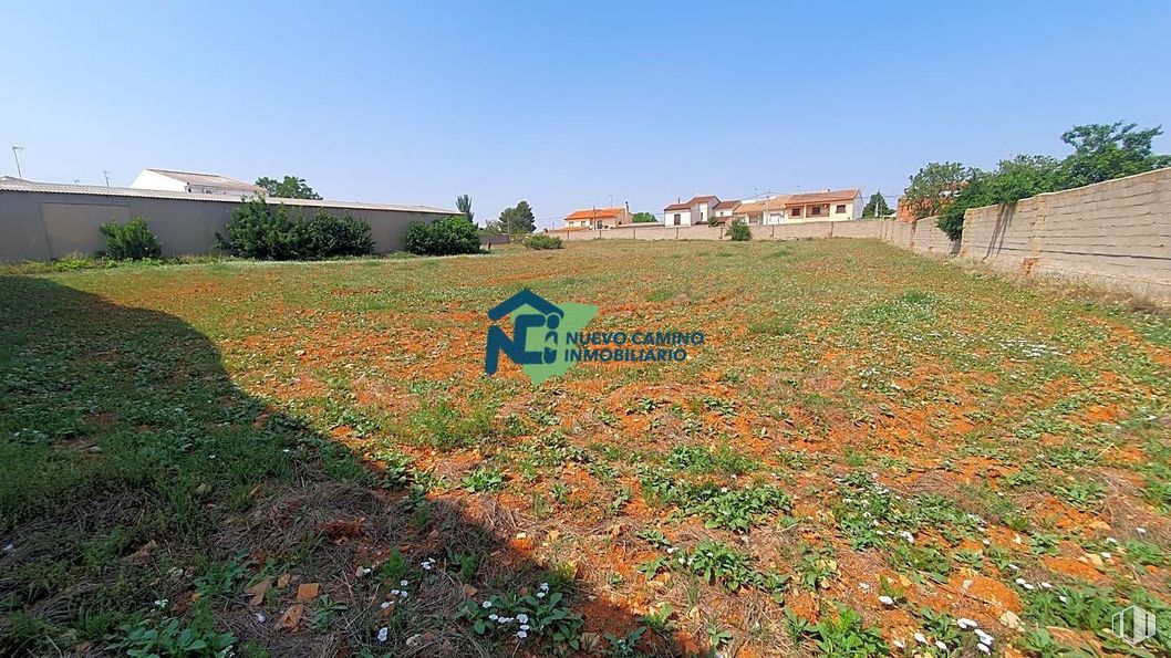 Suelo en venta en Avenida Hontanilla, 50, Los Hinojosos, Cuenca, 16417 con edificio, cielo, planta, flor, árbol, paisaje natural, lote de terreno, vegetación, agricultura y llano alrededor