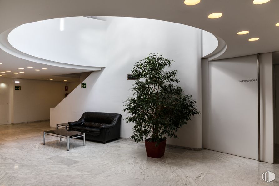 Office for rent at Edificio Bruselas, Avenida Europa, 4, Alcobendas, Madrid, 28108 with houseplant, table, flowerpot, couch, plant, property, furniture, building, interior design, flooring, floor, line around