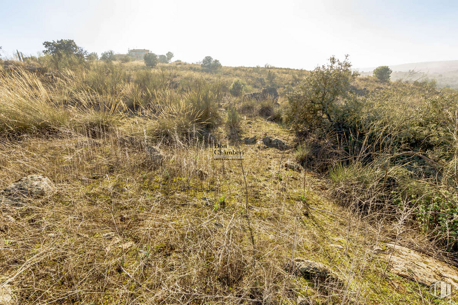 Land for sale at Urbanización La Pozuela, Toledo, 45004 with sky, plant, plant community, natural landscape, land lot, plain, landscape, grassland, shrub and tree around