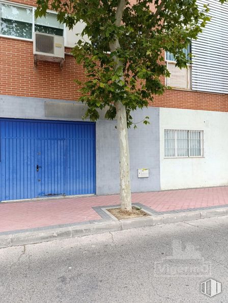 Local en alquiler en Zona Fresnos, Torrejón de Ardoz, Madrid, 28850 con ventana, edificio, planta, superficie de la carretera, accesorio, asfalto, árbol, ladrillo, madera y ramita alrededor