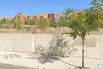 Land for sale at Calle Camino del Gansino, Ávila, 05003 with building, sky, daytime, plant, road surface, neighbourhood, urban design, tree, fence and residential area around