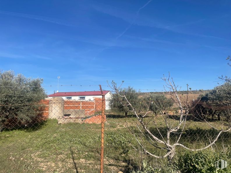 Land for sale at Camino de la Torre, Santa Cruz del Retamar, Toledo, 45513 with sky, plant, plant community, window, natural landscape, twig, land lot, building, grass and landscape around