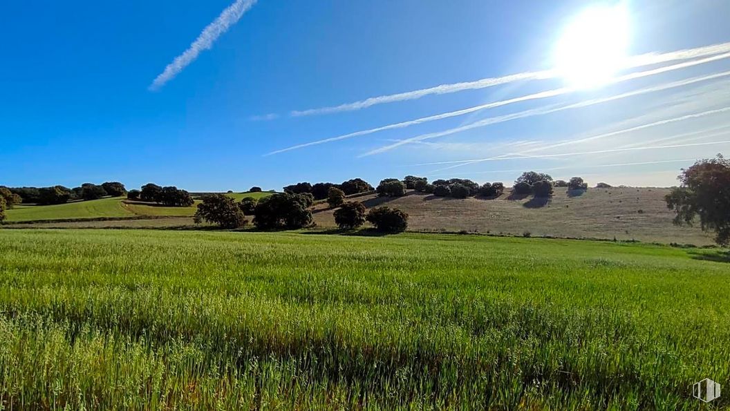 Suelo en venta en Zona La Cortanilla, Villamantilla, Madrid, 28610 con cielo, nube, planta, durante el día, naturaleza, paisaje natural, árbol, luz solar, hierba y horizonte alrededor