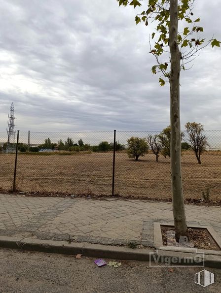 Local en alquiler en Zona Fresnos, Torrejón de Ardoz, Madrid, 28850 con nube, cielo, planta, lote de terreno, árbol, paisaje natural, planta leñosa, madera, llano y paisaje alrededor