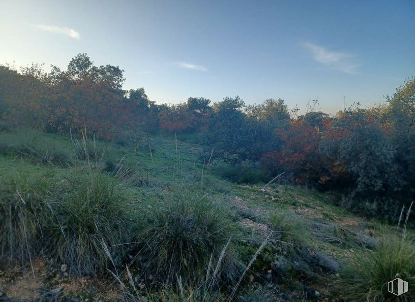 Suelo en venta en Calle Melisa, Toledo, 45004 con cielo, nube, planta, paisaje natural, tierras altas, árbol, hierba, paisaje, arbusto y llano alrededor