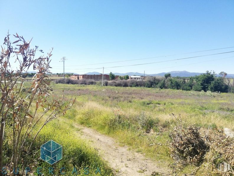 Land for sale at Calle Don Clemente, San Martín de Montalbán, Toledo, 45165 with sky, plant, plant community, natural landscape, land lot, tree, grass, overhead power line, electricity and plain around