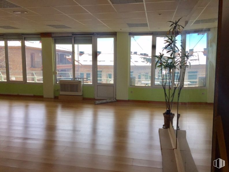 Office for sale at Paseo Álamos, 11, Miraflores de la Sierra, Madrid, 28792 with houseplant, property, window, flowerpot, plant, wood, fixture, interior design, architecture, flooring around